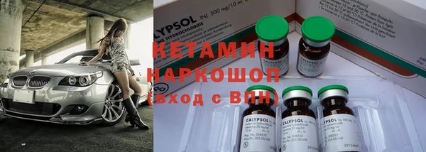 индика Гусев