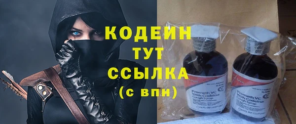 индика Гусев