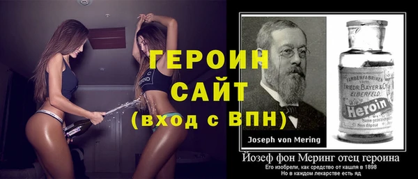 индика Гусев