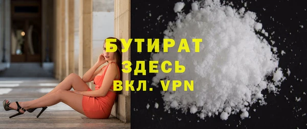 индика Гусев