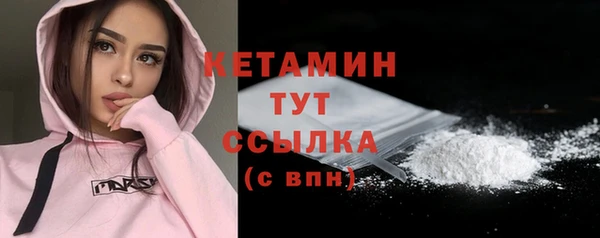 индика Гусев