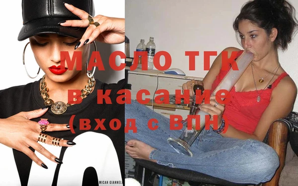 индика Гусев
