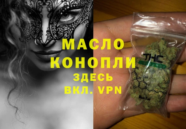 индика Гусев
