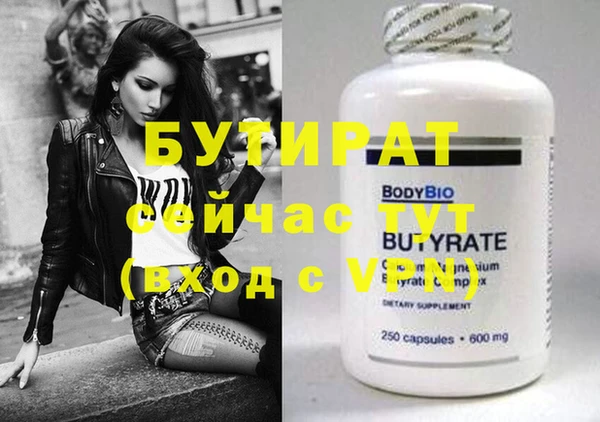 индика Гусев