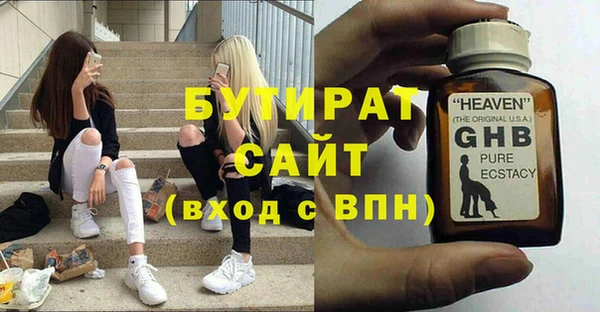 индика Гусев