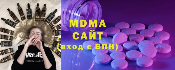 индика Гусев