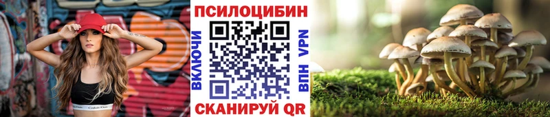 закладки  mega онион  Галлюциногенные грибы GOLDEN TEACHER  Берёзовка 